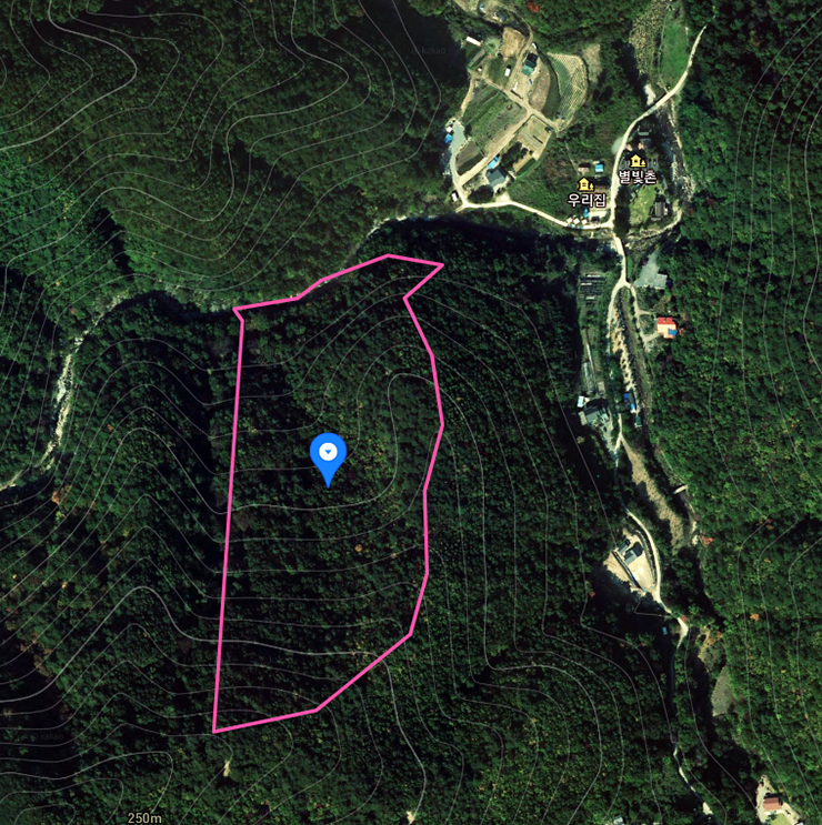 양양내현리임야매매5.png