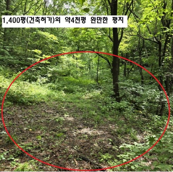 강원도평창군봉평면흥정리계곡흥정천임야토지땅매매물7.jpg