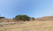 160 충주시산척면임야토지땅매매물3.png