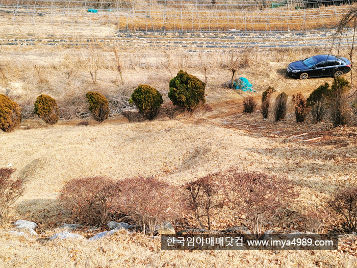 경기도남양주시조안면임야토지땅가족묘지산소자리매매물2.jpg