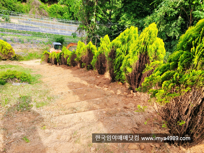 경기도남양주시조안면임야토지땅가족묘지산소자리매매물3.jpg