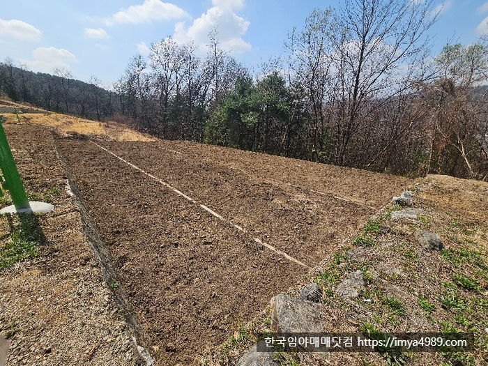 경기도포천시소흘읍임야토지묘지땅매매물3.jpg