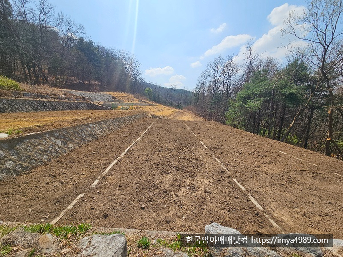경기도포천시소흘읍임야토지묘지땅매매물1.jpg