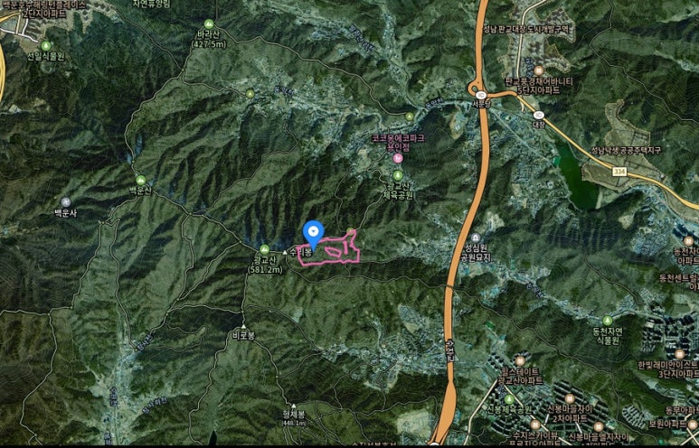 경기도용인시수지구동천동광교산자락임야산토지땅매매물2.jpg