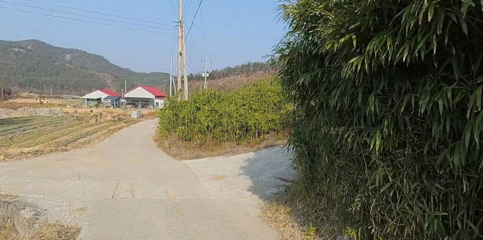 전남보성군득량면도촌리임야토지땅매매물6.png