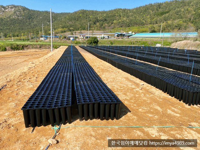 전남장흥군용산면임야토지땅전답대지주택시골집매매물4.jpg