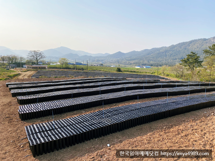 전남장흥군용산면임야토지땅전답대지주택시골집매매물6.jpg