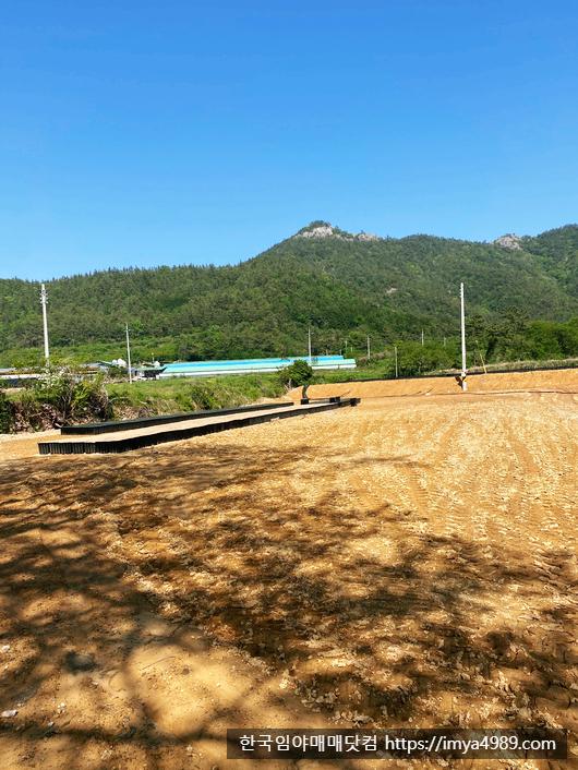 전남장흥군용산면임야토지땅전답대지주택시골집매매물9.jpg