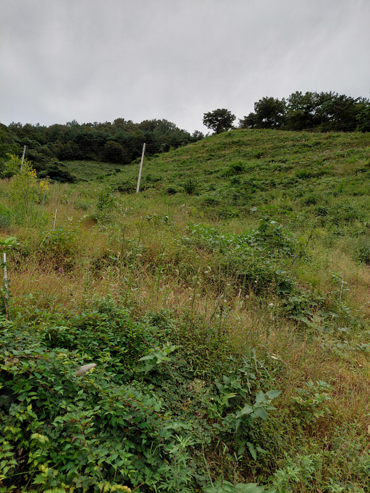전남보성군회천면영천리임야산토지땅매매물3.jpg