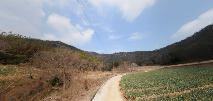 전남진도군의신면임야토지땅매매물5.png