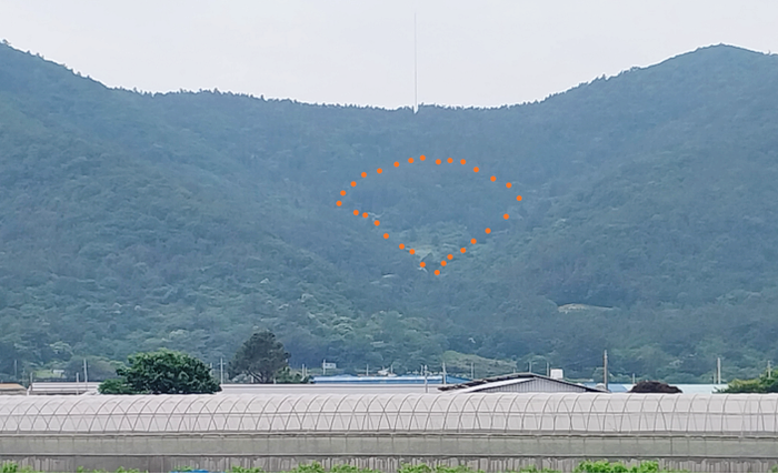 전남장흥군대덕읍임야토지땅매매물5.png