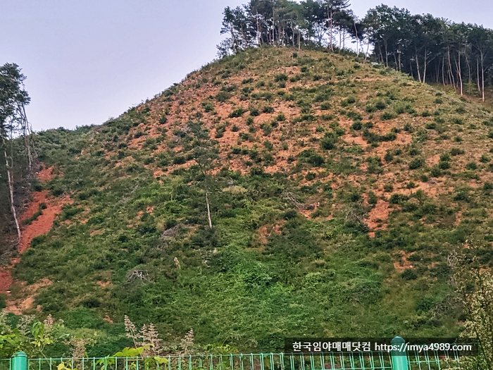 경북예천호명읍임야토지땅매매물1.jpg
