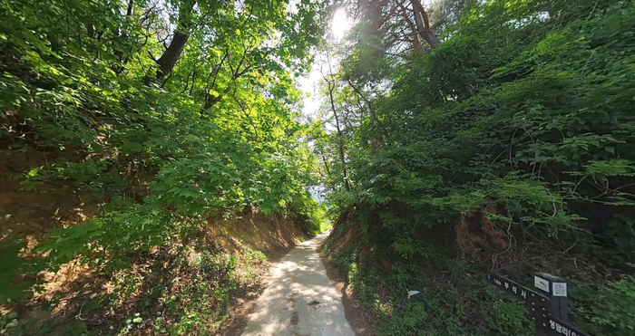 경북봉화군물야면임야토지땅매매물4.png