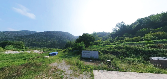 충북단양군매포읍안동리산임야땅토지매매물3.png