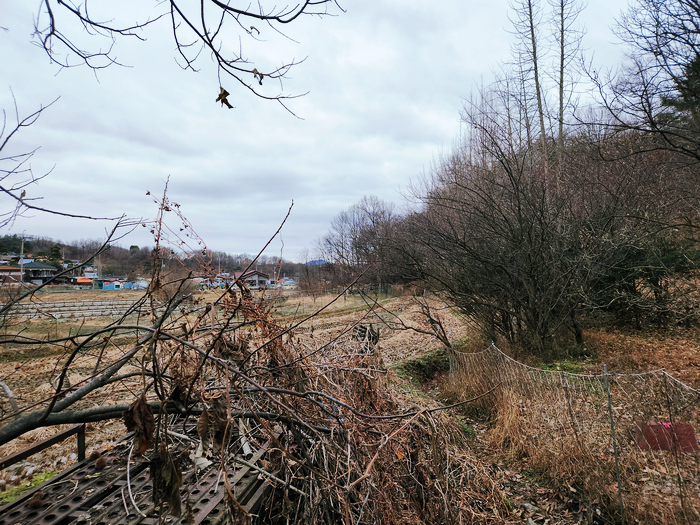 청주시상당구남일면임야토지땅매매물2.jpg