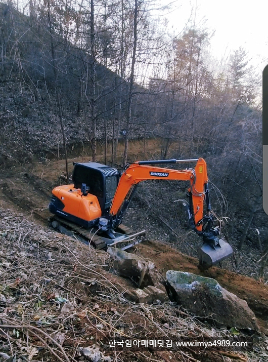 충북제천시봉양읍임야토지땅답논매매물5.jpg