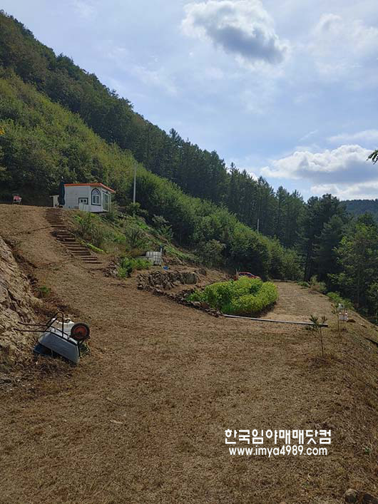 충북옥천청성면임야토지땅매매물3-1.png