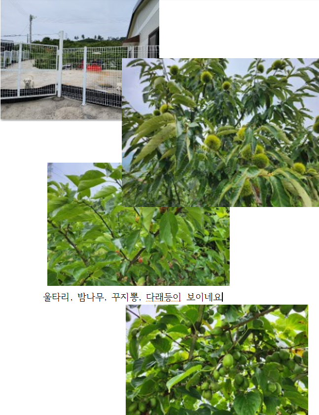 충남예산임야토지땅매매물6.png