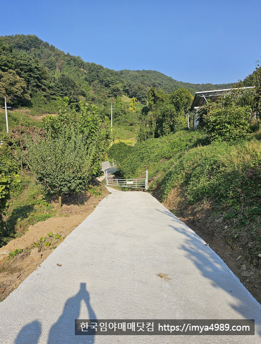 충남예산군신양면차동리임야토지땅농장매매물2.jpg