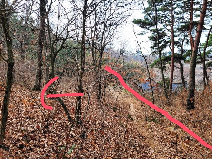 충남홍성군갈산면임야토지땅매매물2.jpg