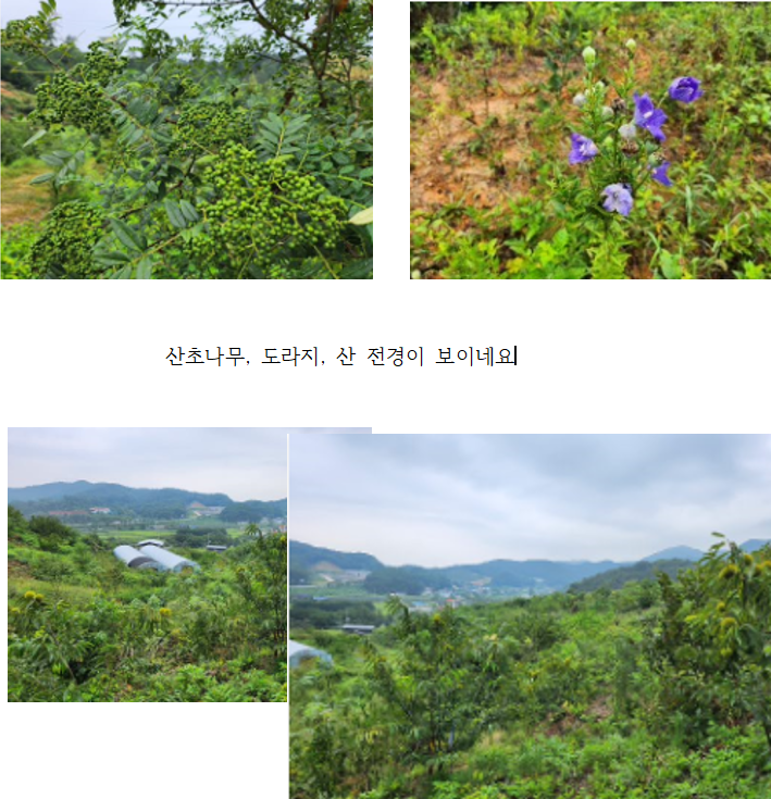 충남예산임야토지땅매매물7.png