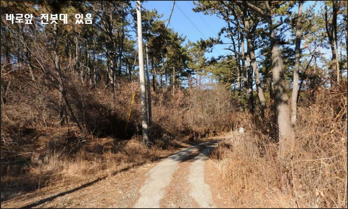 울산시울주군서생면임야토지땅전원단독주택부지매매물3.jpg